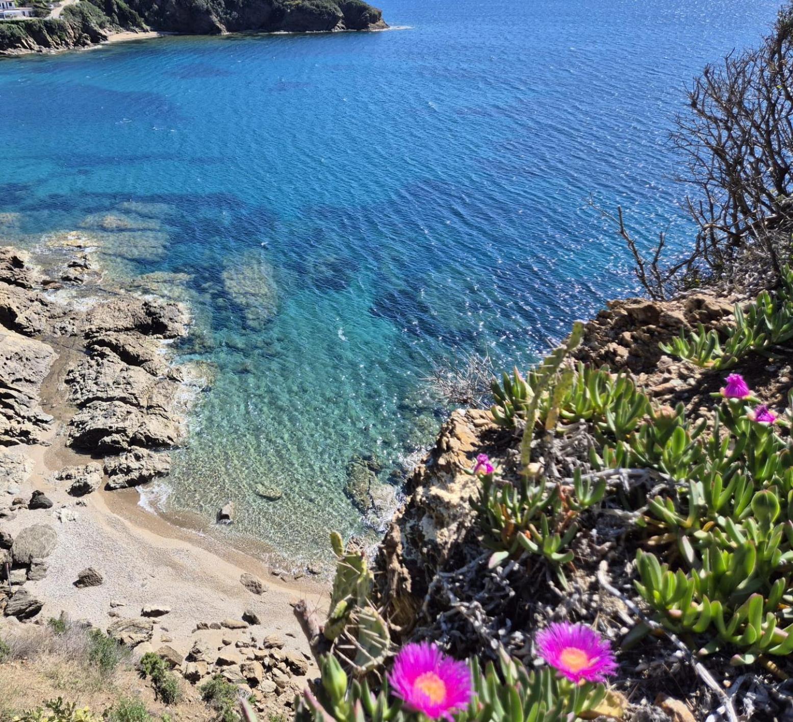 Rosa Dei Venti Apartment Capoliveri  Bagian luar foto